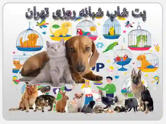 لوازم حیوانات خانگی تهران